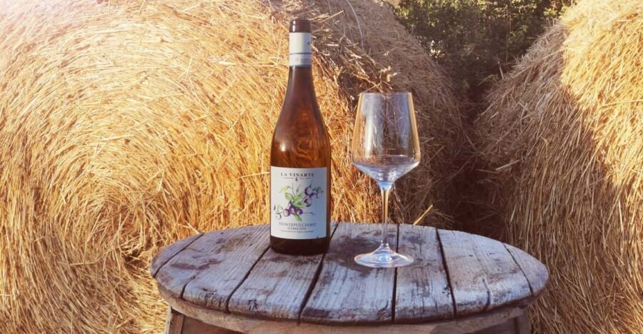 Santa Maria Imbaro: The Vinarte Wine Tour - Tour Details and Itinerary