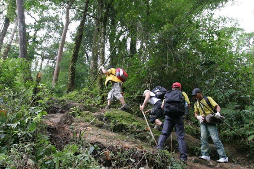 Sapa: Fansipan Peak Full-Day Trek With Lunch - Itinerary and Highlights
