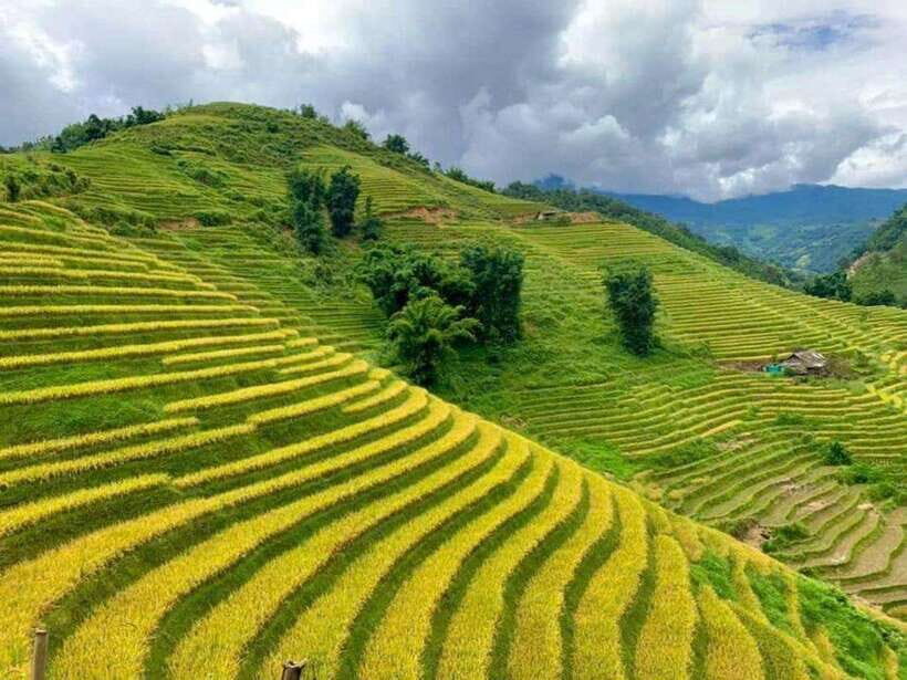 Sapa Trekking Cat Cat Village, Ham Rong, Phanxipan 3D2N - Itinerary Highlights