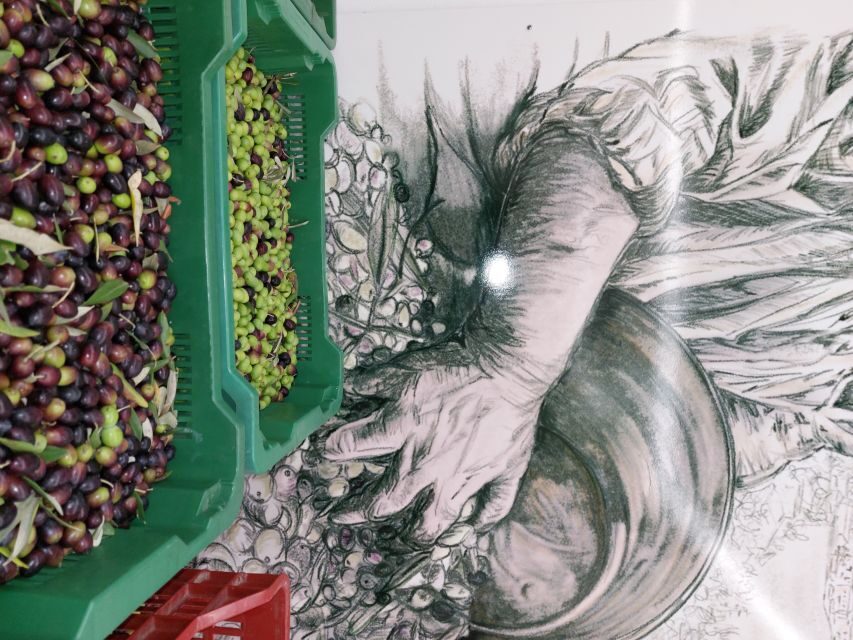 Sarteano: Visit to the Mill and Oil Tasting - Itinerary and Meeting Point