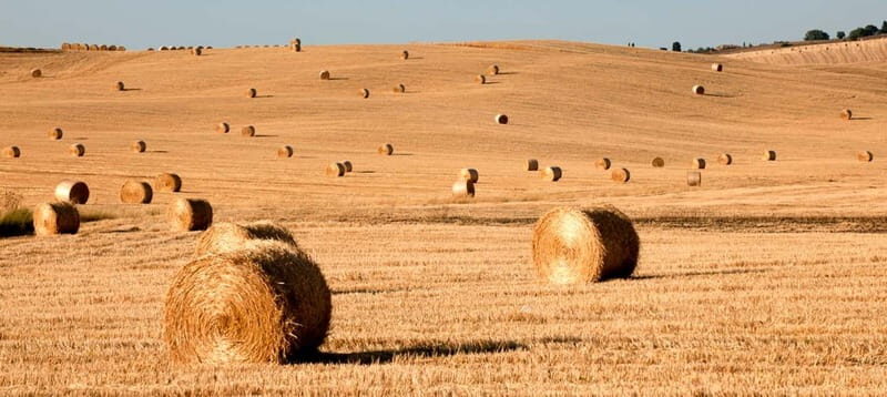 Siena: City Tour in German - Itinerary Highlights