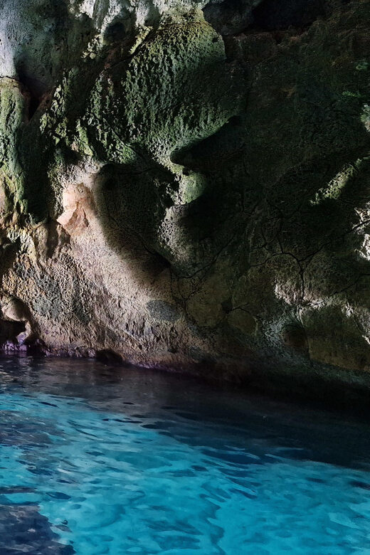 Siracusa: Ortigia & Sea Caves Speedboat Tour With Swim Stop - Highlights of Ortigia Island