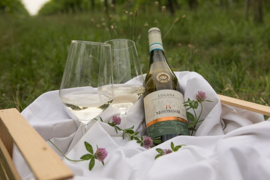 Taste With Us Bardolino, Chiaretto and Lugana Near Verona - Experience a Unique Wine Tasting Journey