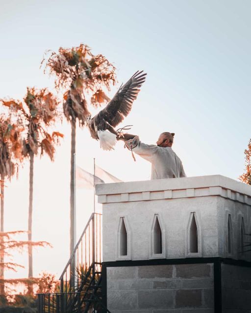 The Court of the Falconer Masseria Mazzetta - Itinerary and Schedule