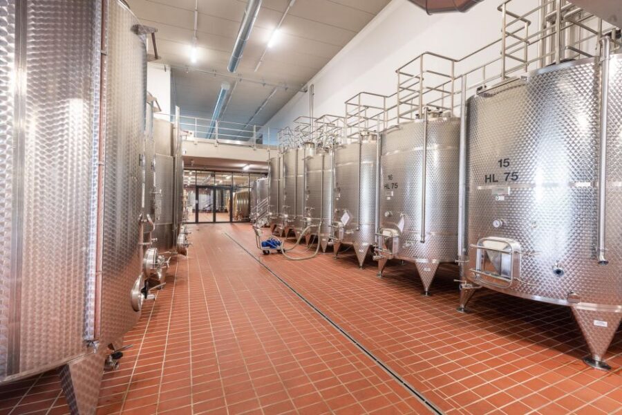 The Dosman: Winetasting in La Morra - Pricing and Booking Information
