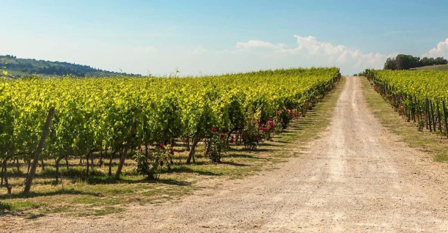 The Torriano Wine Experience Room - Itinerary and Highlights of the Tour