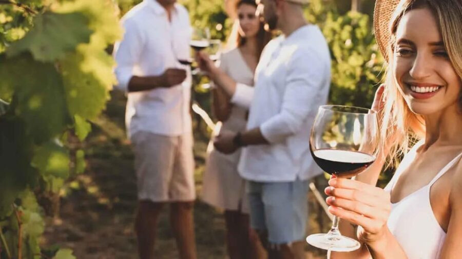 Trasimeno: Discovering Montemelino Wine Experience - Booking Your Experience