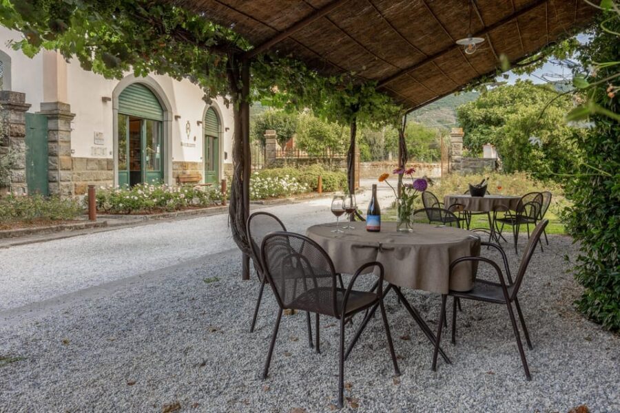 Tuscany: White Wine Tasting With Aperitivo at a Local Winery - Activities and Amenities