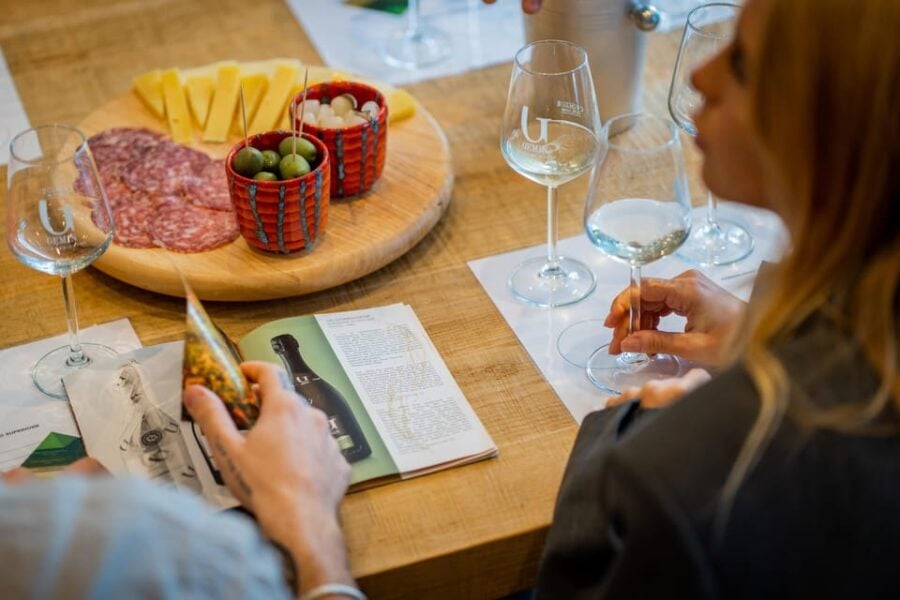 Valdobbiadene: Prosecco Tasting Experience - What to Expect During the Tasting