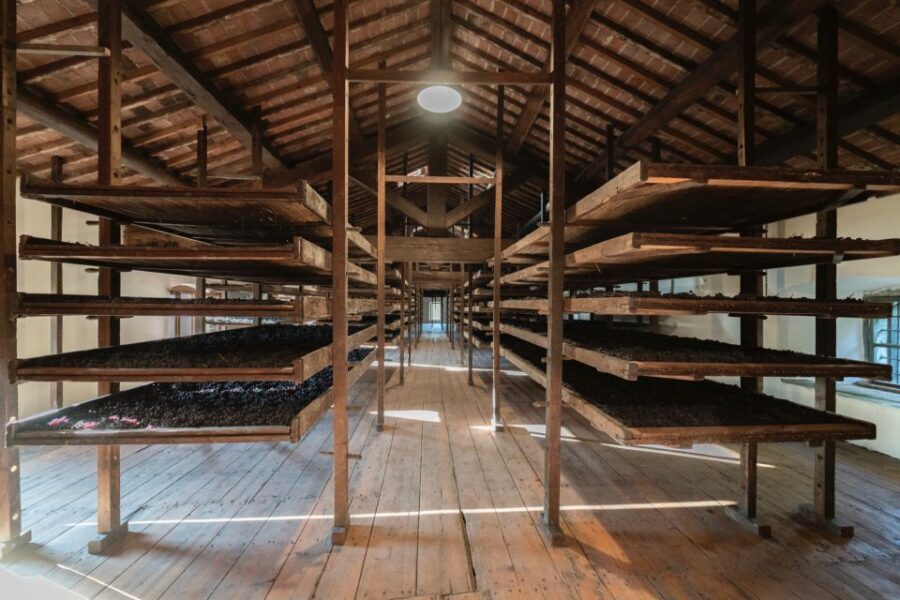 Valpolicella: Amarone Chateau Guided Tour and Wine Tasting - The Art of Winemaking: Appassimento and Ripasso