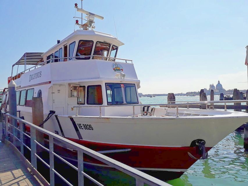 Venice: Murano & Burano Panoramic Boat Tour W/ Glassblowing - Itinerary Highlights