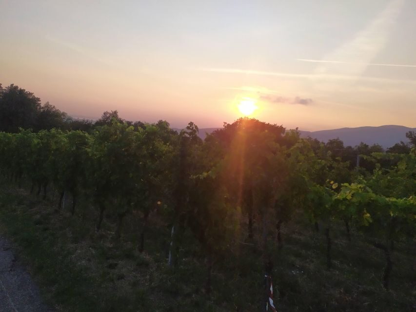 Verona Best Trekking Best View - Highlights of the Journey