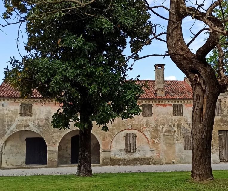 Villa Bogdano 1880: Guided Winery Tour and Tasting - Location and Accessibility