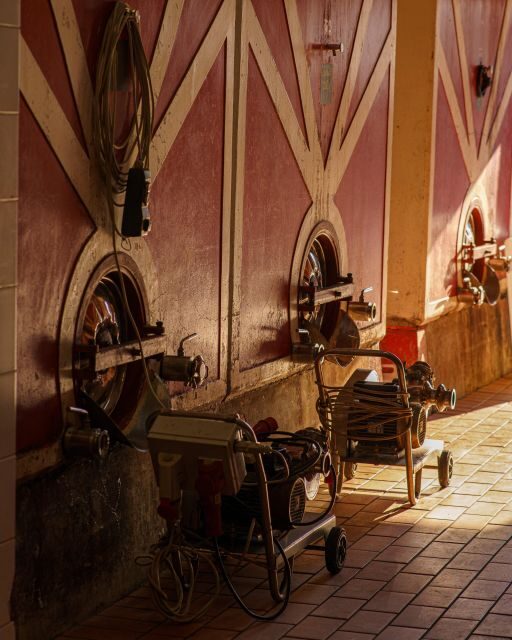 Vinci: Wine-Experience Among the Tuscan Hills - A Unique Guided Experience