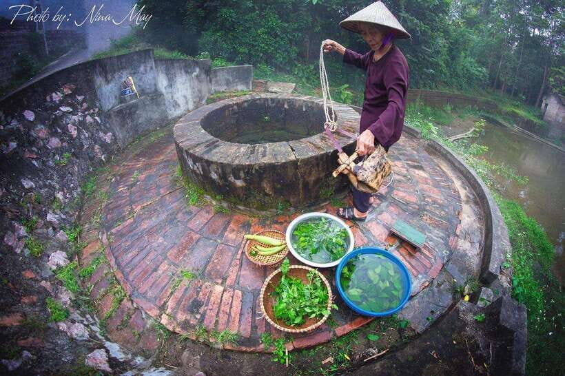 Visit Duong Lam Village & Admire The Countryside in Vietnam - Experience Authentic Vietnamese Rural Life