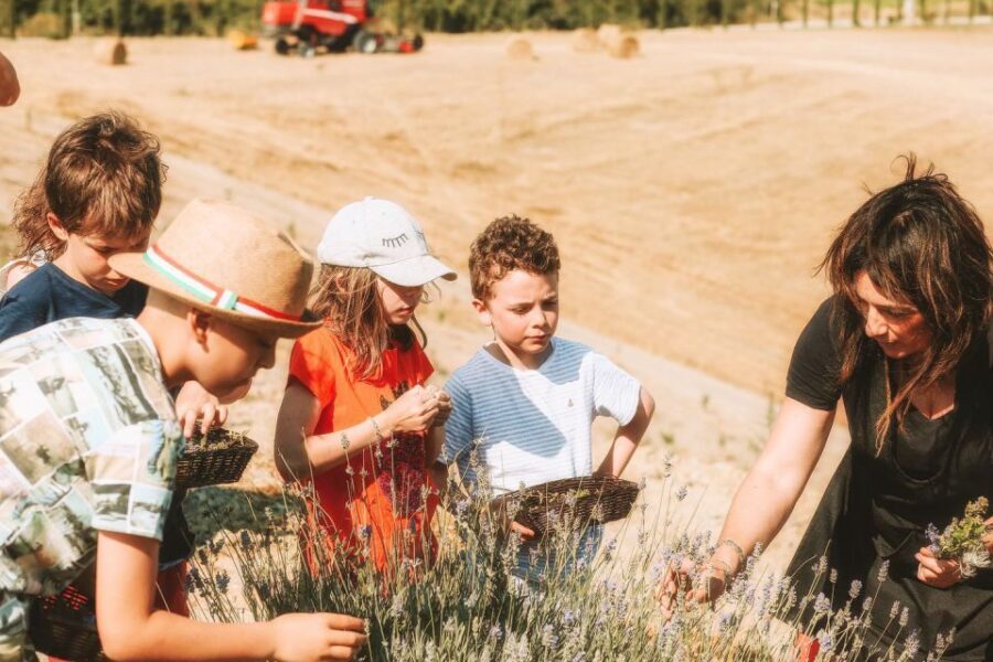 Volterra: Family-Friendly Herbal Laboratory Workshop - Location and Setting