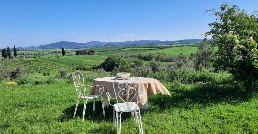Walking in the Olive Grove: How Is Extra Virgin Olive Oil Made? - Harvesting Olives: Methods and Techniques