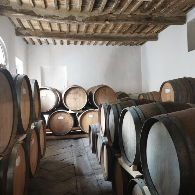 Wine Experience in an Organic Chianti Winery - Location and Accessibility