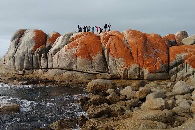10 Days Ultimate Guided Tour of Tasmania - Comfort Tour - The Alpine Beauty of Cradle Mountain