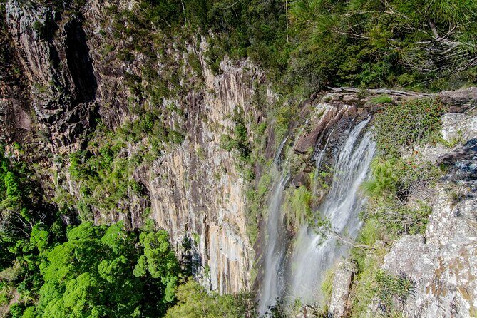 2 Night Rainforest Glamping Adventure near Byron Bay - A Detailed Look at the Rainforest Glamping Experience