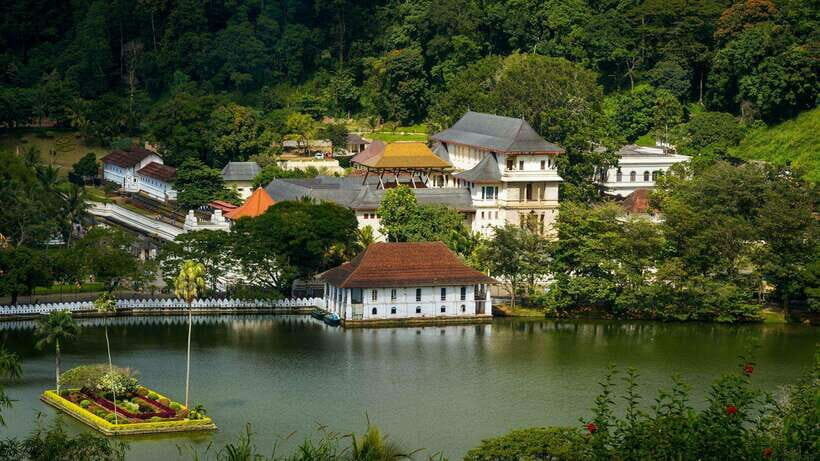 3-Day Tour from Your Hotel: Explore Kandy, Ella, and Yala - What You Can Expect from This Tour