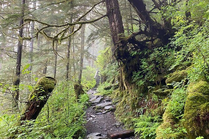 3-Hour Rainforest, Beach & Wildlife Walk - What’s Included and What to Keep in Mind