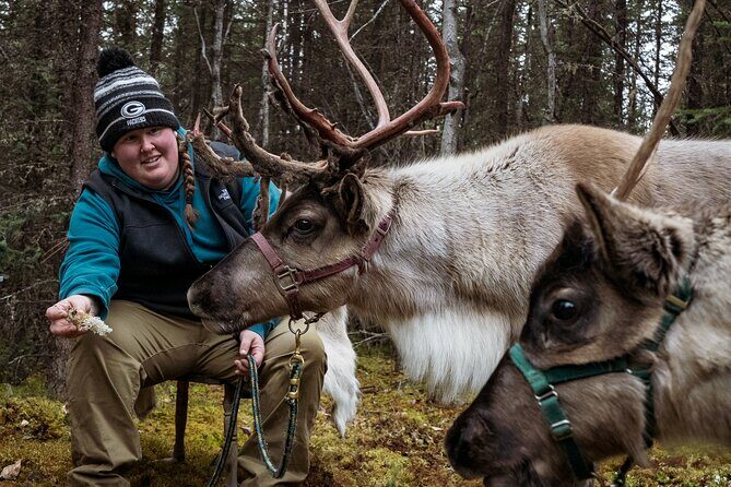 45 Minute Private Reindeer Tour - Practical Details: What to Expect and Considerations