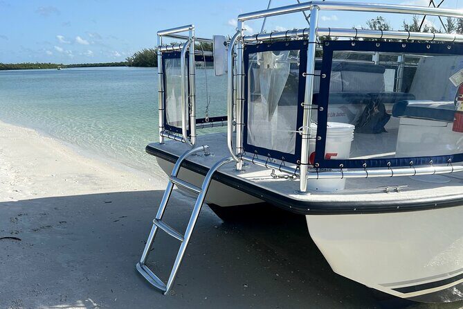 5 Hour Keewaydin Island Beach Tour - Who Is This Tour Best For?