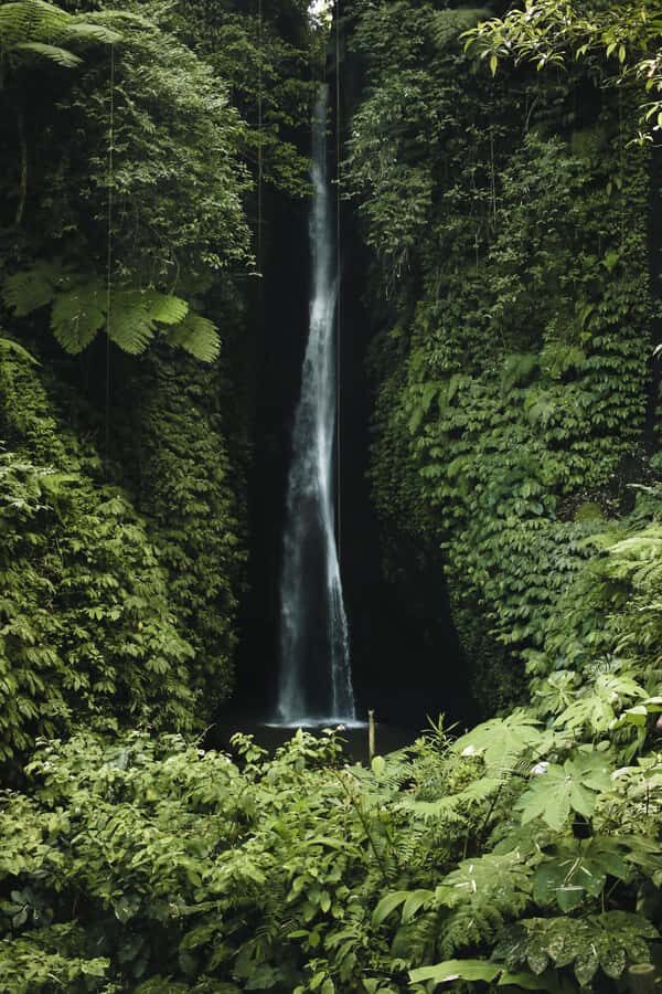 7 Hiden waterfalls and Secret Garden Village visit - The Value of This Tour