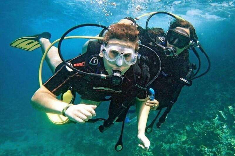 -Acapulco: La Roqueta Island Tour & Scuba Diving Experience - The Marine Environment: A Closer Look