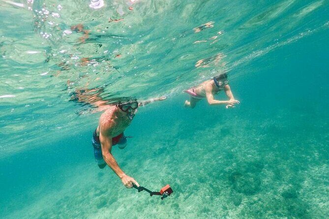Admission Ticket to Coral World & Coki Point Beach with Snorkeling - Analyzing the Value: Is It Worth It?