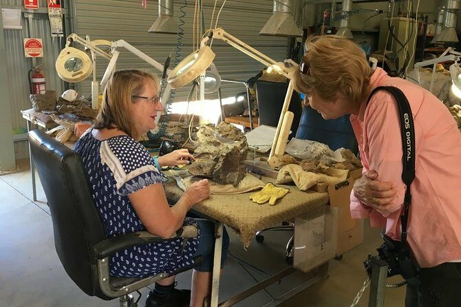 Age of Dinosaurs Museum Half Day Guided Transfer from Winton - What Reviewers Love