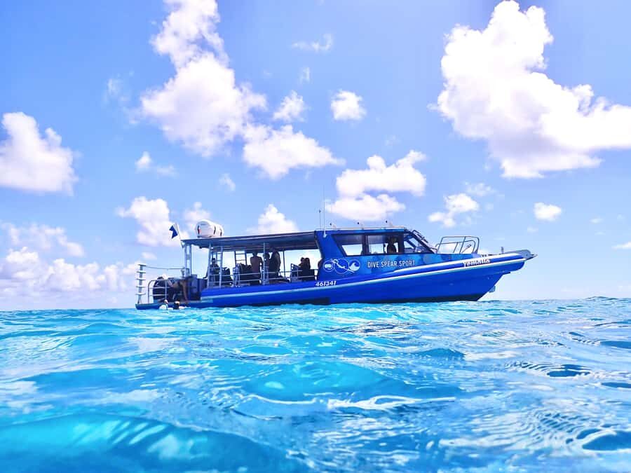 Agnes/1770: Southern Great Barrier Reef Snorkelling Day Trip - The Sites and Marine Encounters: What Really Stands Out