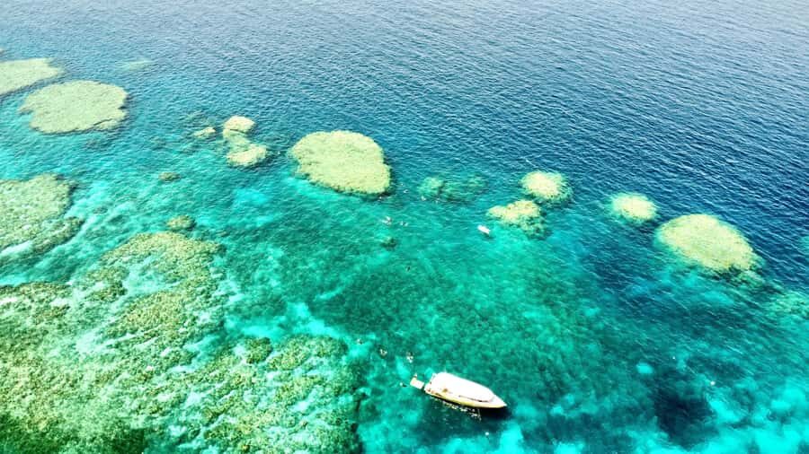 Airlie Beach: Great Barrier Reef & Whitehaven Beach Tour - Exploring the Itinerary: What You Can Expect