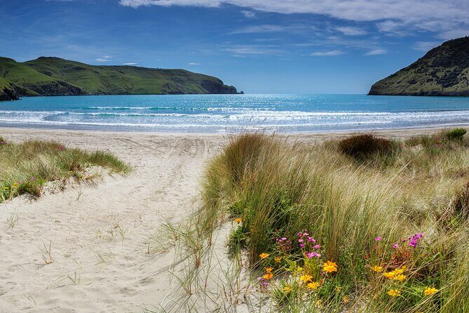 Akaroa Self Guided Electric Scooter Tour - Frequently Asked Questions