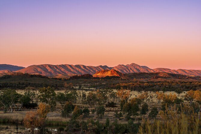 Alice Springs to Ross River Resort: A Self-Guided Outback Drive - What Travelers Say