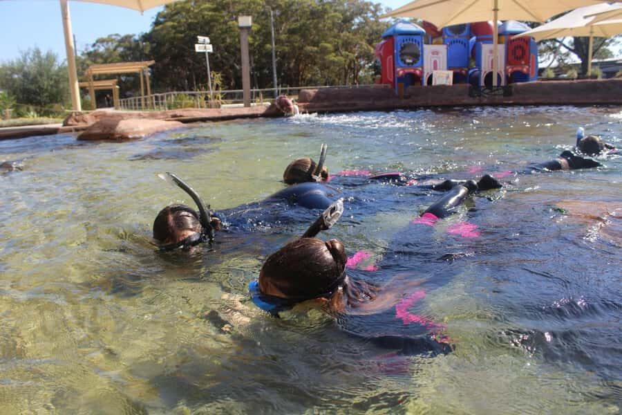 Anna Bay: Irukandji Entry + Coastal Currents Snorkel - The Educational and Entertainment Value