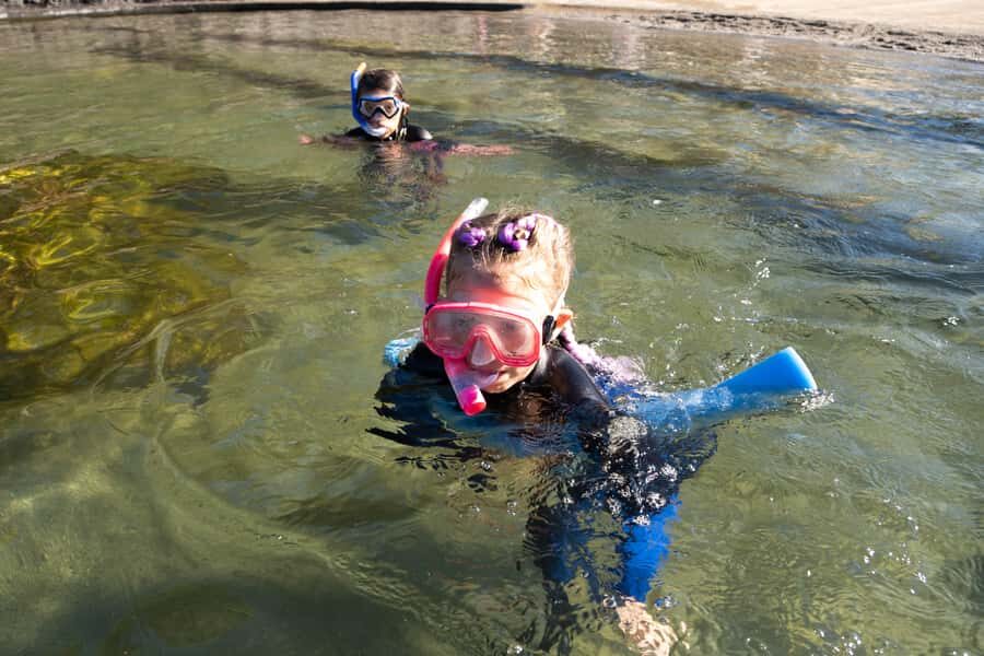 Anna Bay: Irukandji Entry with Zebra Shark Snorkel - Who Will Love This?