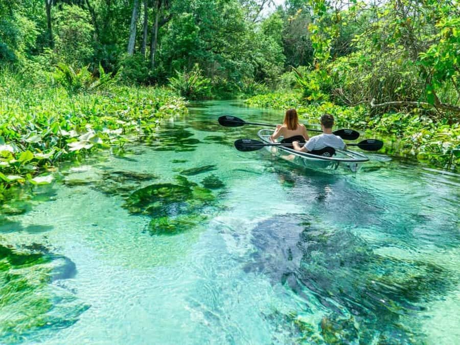Apopka: Rock Springs Clear Kayak Tour - Authentic Experiences and What Travelers Say