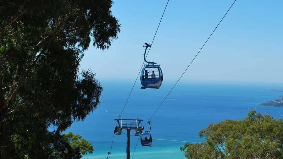 Arthurs Seat Eagle: Scenic Gondola Ride - Key Points