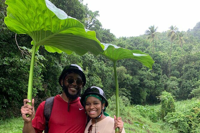 ATV Tour: Eco Friendly Scenic Bellwood Layou Rainforest - Who Will Love This Tour?