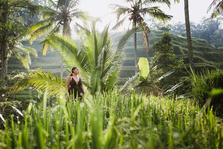 Bali : Explore Beauty of Ubud with 3 Best Tour Options - Key Points