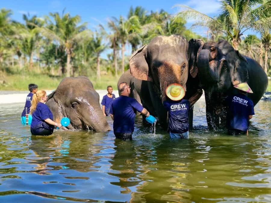 Bangkok: Elephant Sanctuary &Khao Kheow Open Zoo (Moodeng) - What to Expect: A Breakdown of the Day