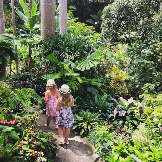 Barbados: Hunte's Garden, Artisan Studios, and Beach Tour - Who Will Enjoy This Tour?