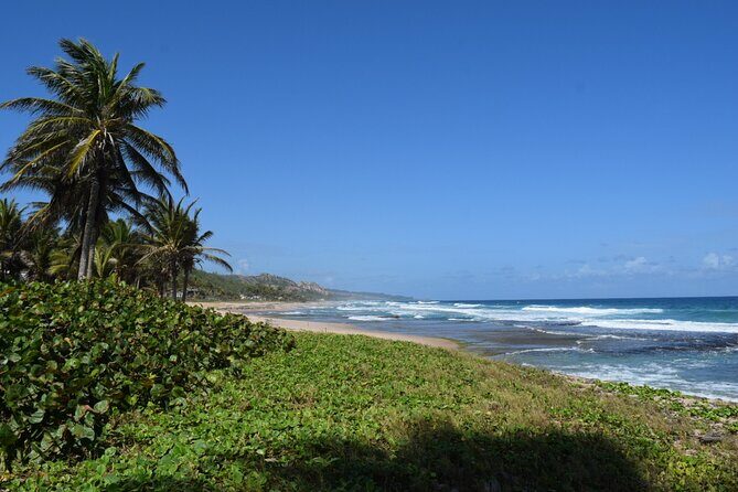 Barbados Paradise Tour with Hotel Transfers - Exploring the Itinerary: What You Can Expect