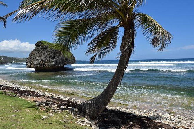Barbados Small-Group Garden & Wildlife Half-Day Tour - What Makes This Tour Stand Out?