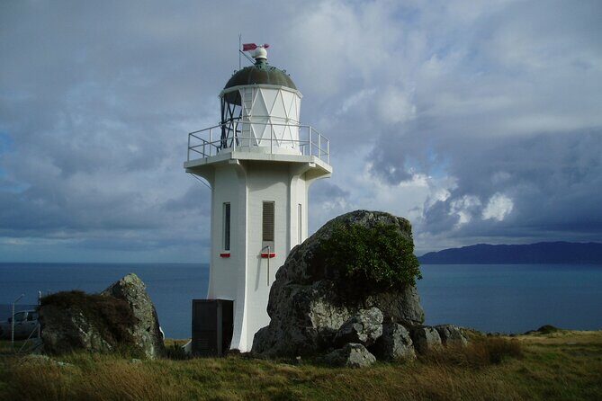 Baring Head Lighthouse Wainuiomata - A Detailed Look at the Baring Head Lighthouse Walk Experience