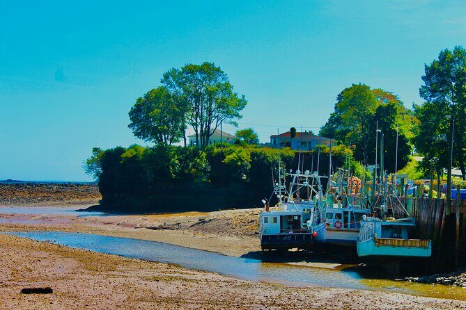 Bay Of Fundy Guided Tour - FAQs