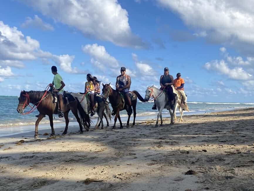 Bayahibe: Buggy and Horseback Riding Tour - Logistics and Practicalities