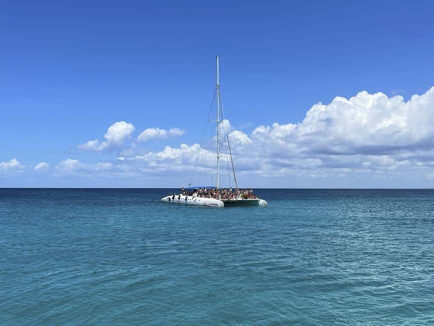 Bayahibe: Saona Island Boat Tour Small Group - Discovering Saona Island: What It’s All About